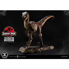 Jurassic Park Prime Collectibles socha 1/10 Velociraptor Open Mouth 19 cm